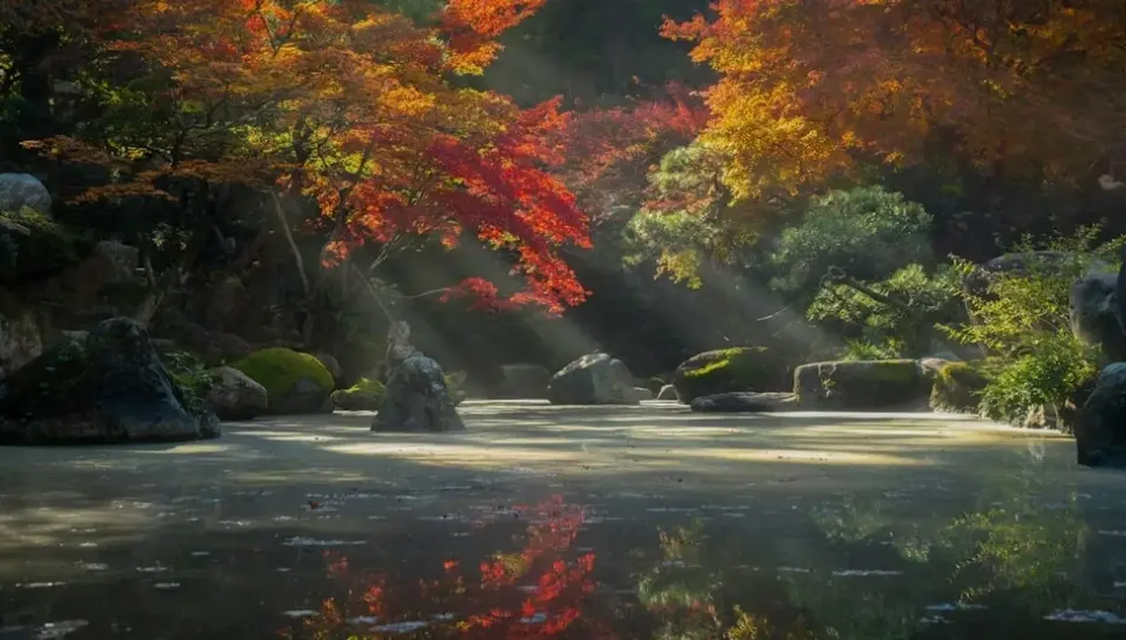 Zen Japanese garden presenting the simple, natural, and mindful ingredients in our products